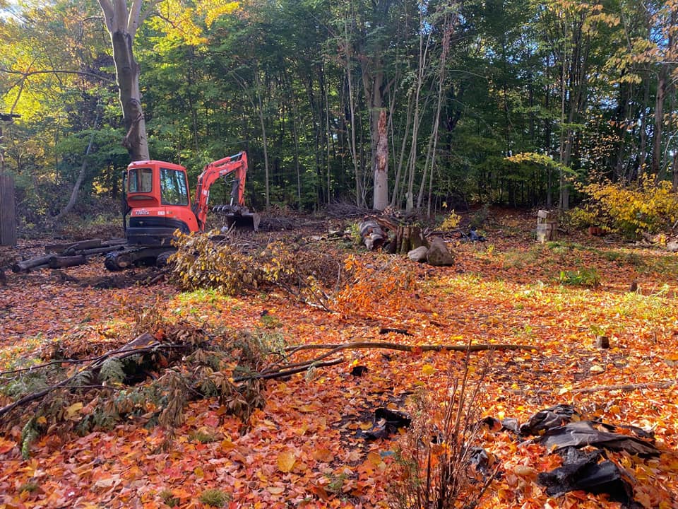 Warbucks compact excavator clearing brush and fallen trees on a wooded lot